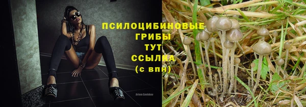 гашишное масло Краснослободск