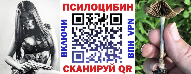 Купить закладки  Заводоуковск  Псилоцибиновые грибы Psilocybe 