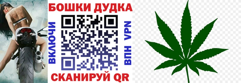 Шишки марихуана марихуана  Купить где  Заводоуковск 